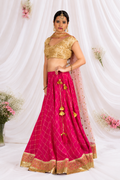 Emerald Green Floral Dupatta Lehenga Set